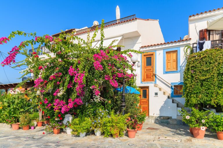 Traditional,Greek,House,With,Bougainvillea,Flowers,In,Kokkari,Town,,Samos